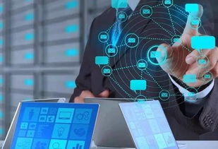 河北互聯(lián)網(wǎng)政務(wù)服務(wù)發(fā)展成效顯著，權(quán)威數(shù)據(jù)透視創(chuàng)新與惠民成果